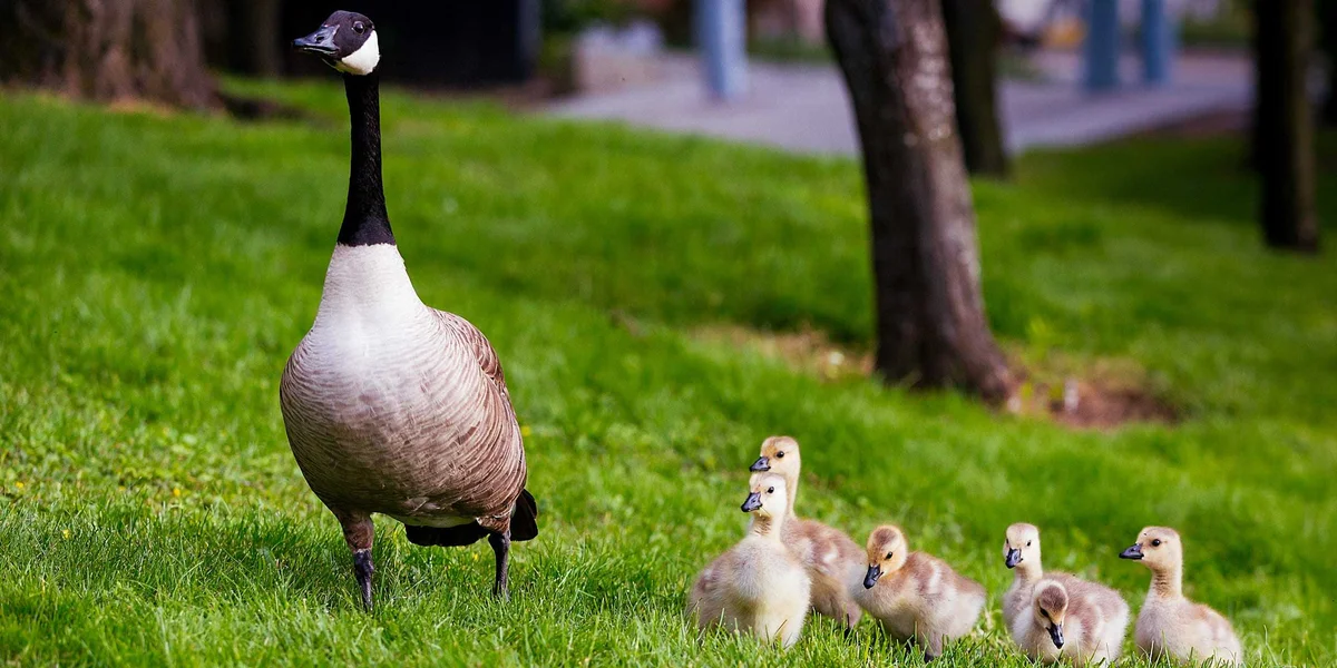 How To Create And Influence Company Culture