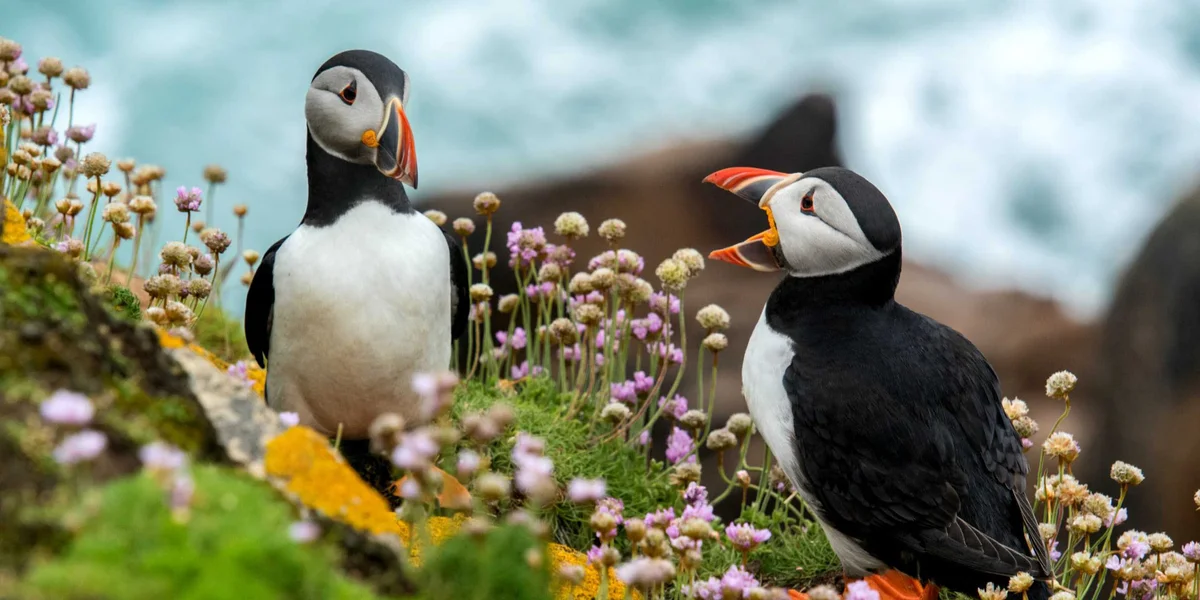 The Hierarchy of Communication for Your Business and Personal Life