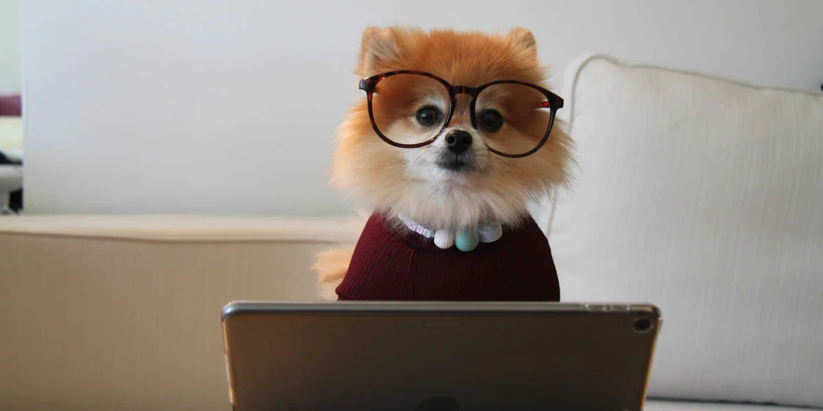 How Remote Working Differs From a Traditional Office