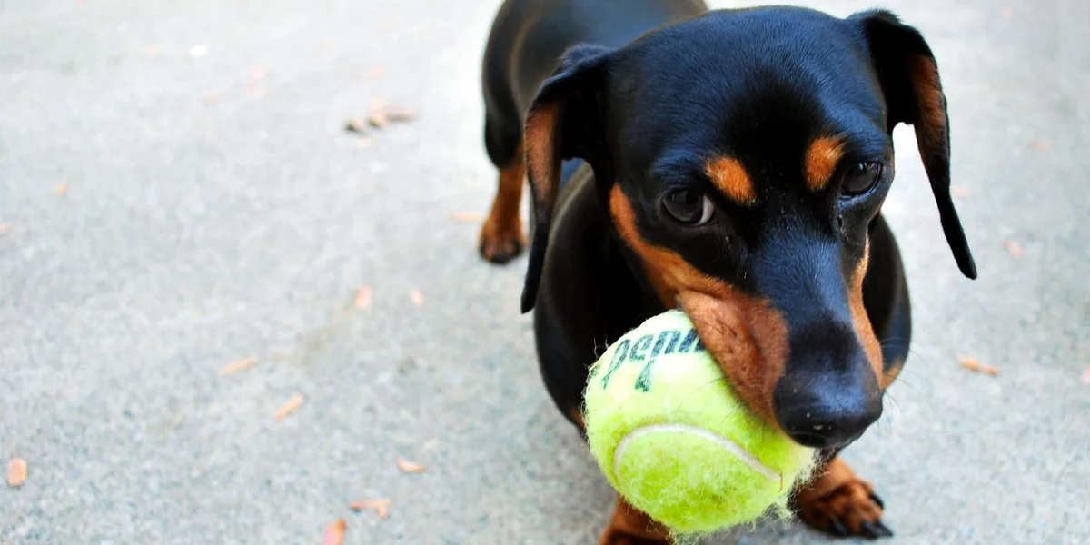 Goal Getting: Turn Your Goals Into Systems to Achieve Them