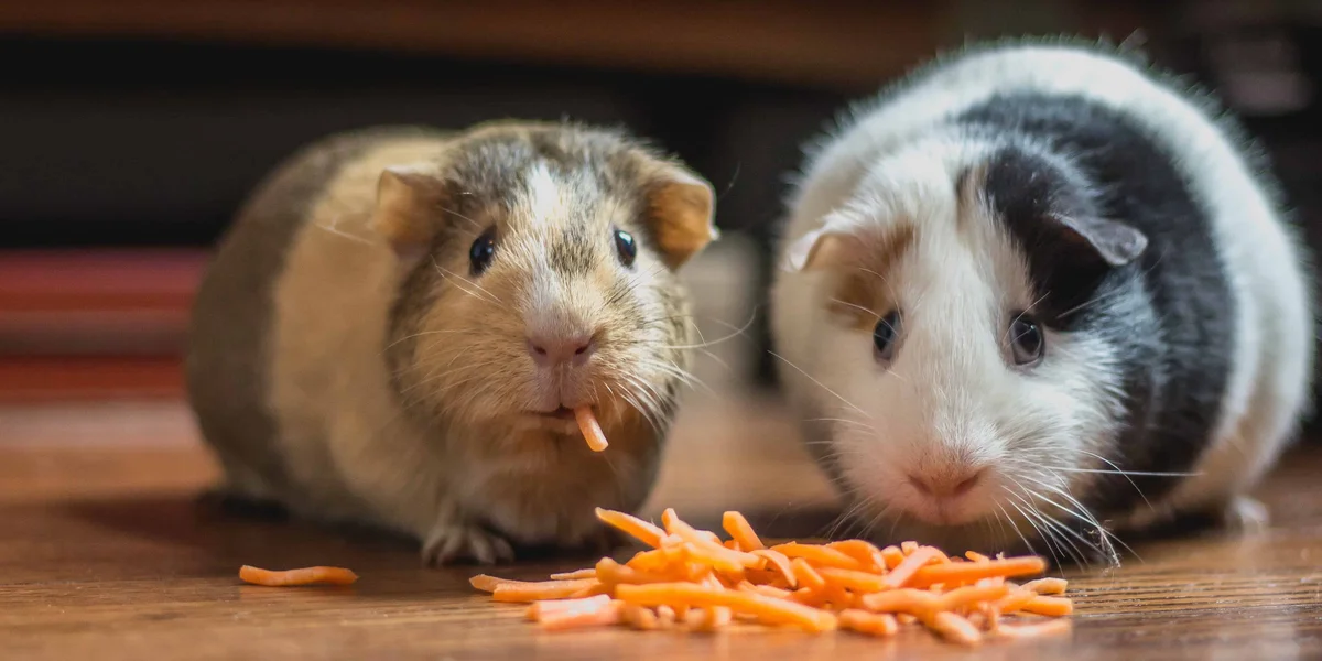 How to Handle the Small Stuff