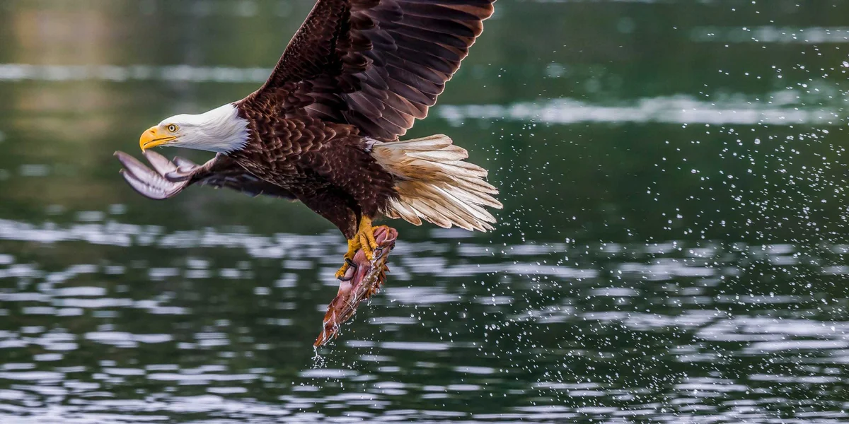 The Ugly Truth About Time Management