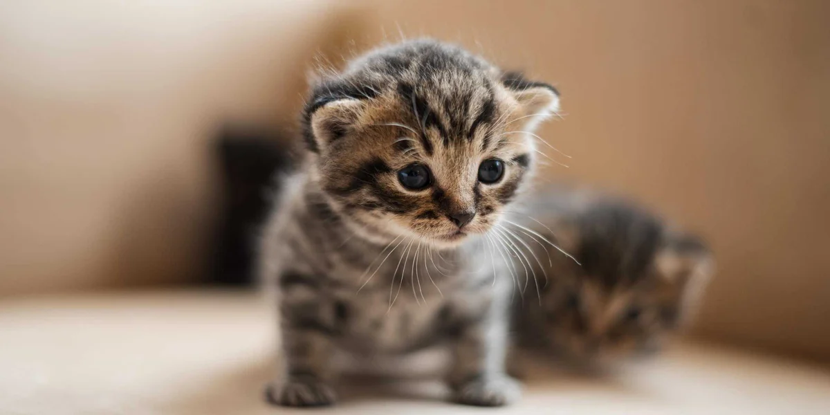 How to Stop Having WTF Days